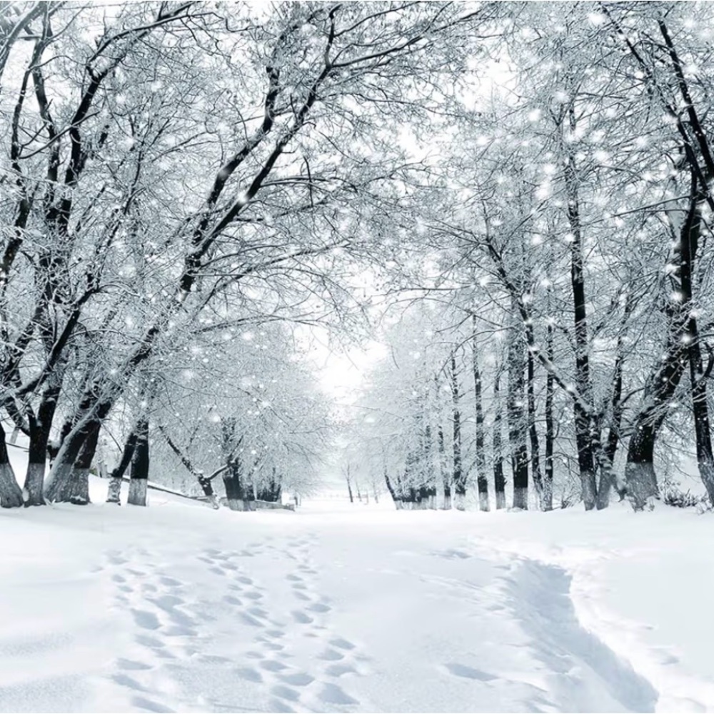 New 7x5 ft Winter Wonderland Holiday Snowy Landscape Photo Backdrop Set